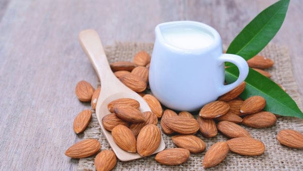 Almonds Slow Digesting Foods