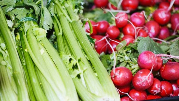 Celery A List of Vegan Foods That Help With Bloating