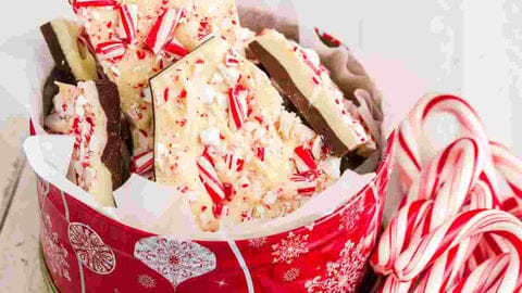 Chocolate peppermint How to Make Delicious Tofu Ice Cream