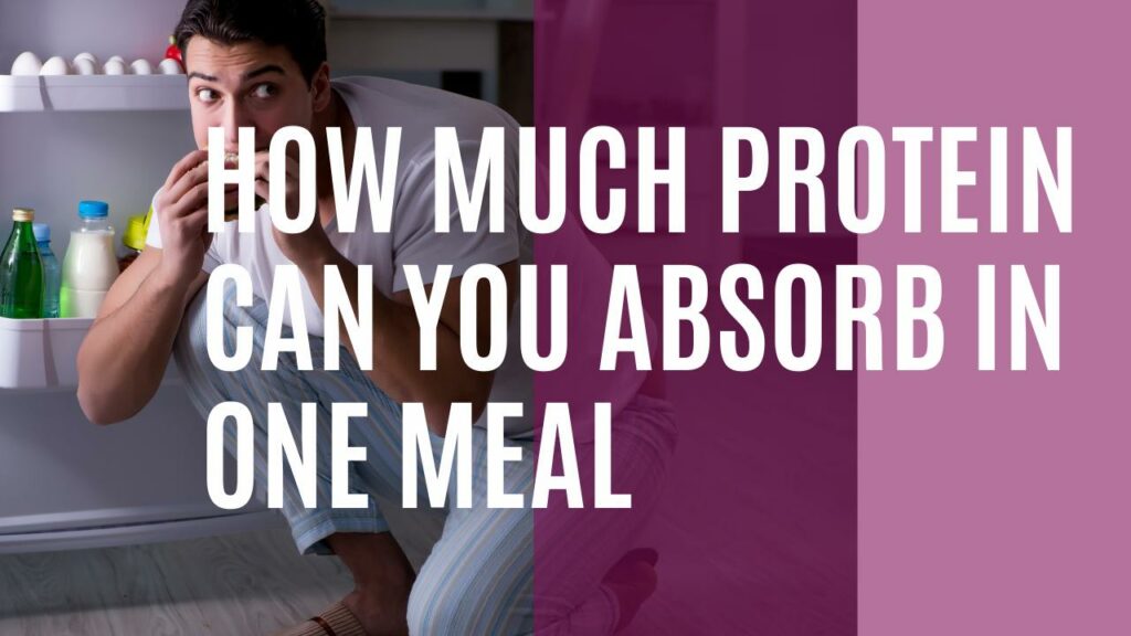 How Much Protein Can You Absorb in One Meal