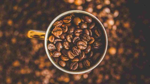 Trader Joe's How to Find the Best Vegan Coffee