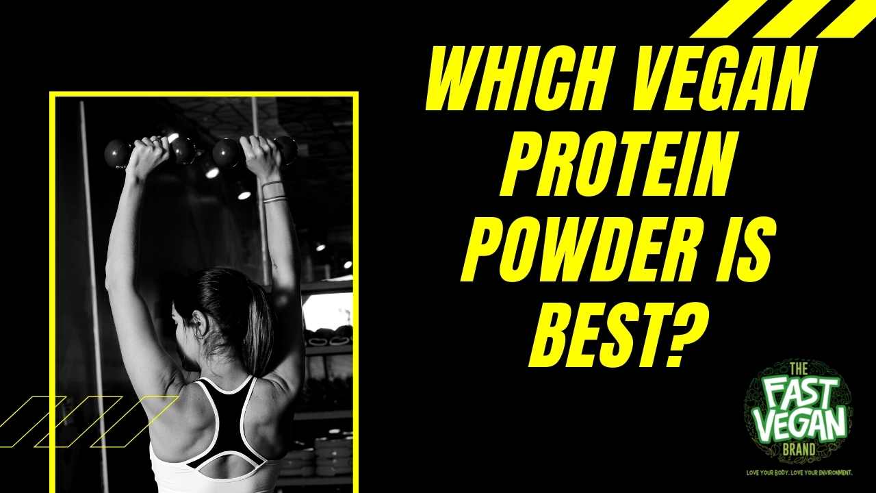 Which Vegan Protein Powder Is Best