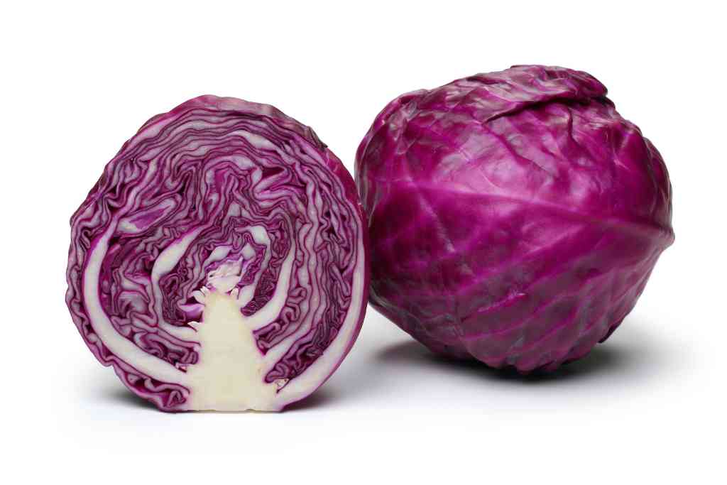 Red Cabbage: List of Superfoods PDF
