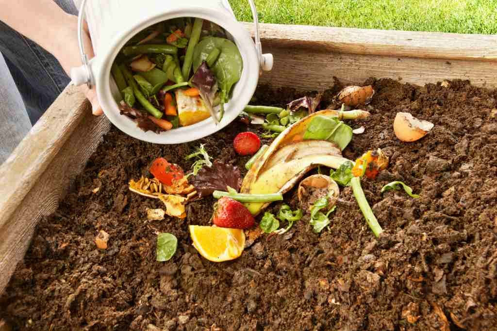 Using Vegan Compost in Your Garden