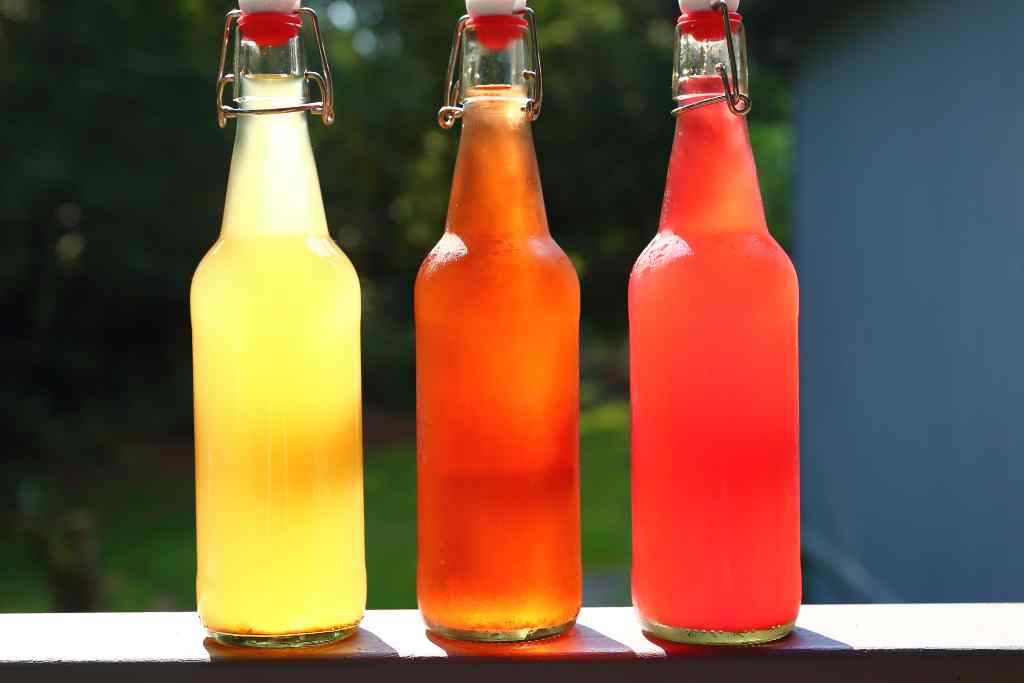 Sugary Kombucha: Flavored and bottled Is Kombucha Good for Weight Loss?