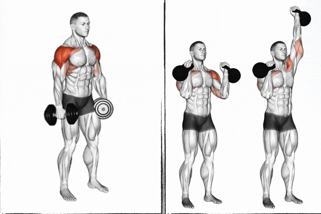 Shoulder Press vs Lateral Raise