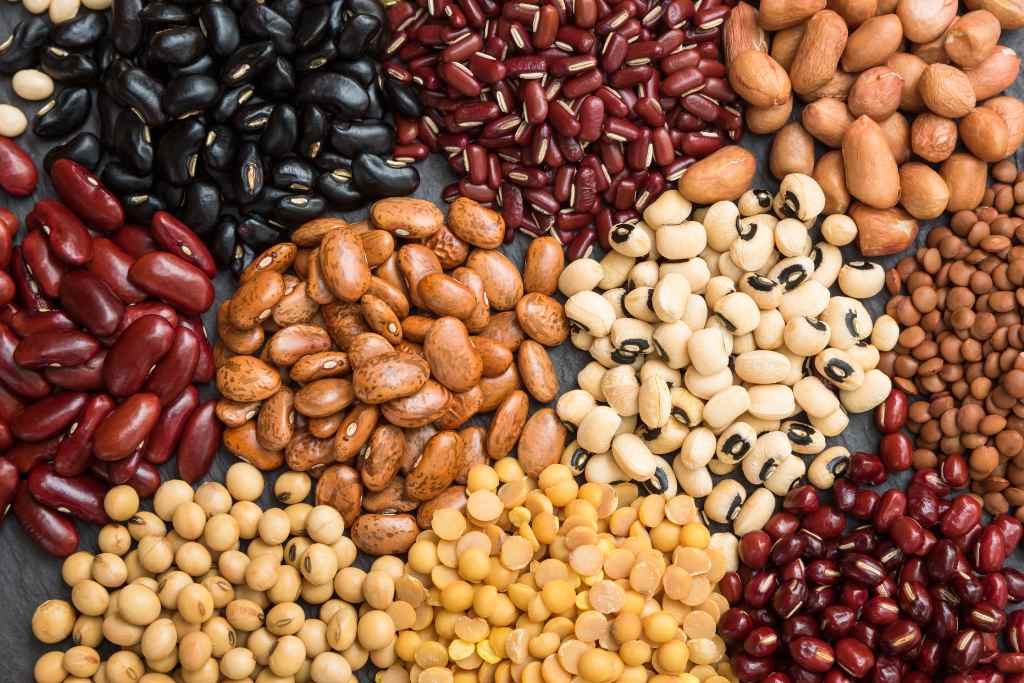 Allergies and Intolerance to Legumes
